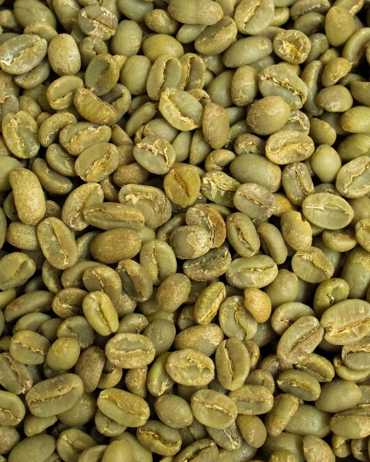 Grano verde sin tostar